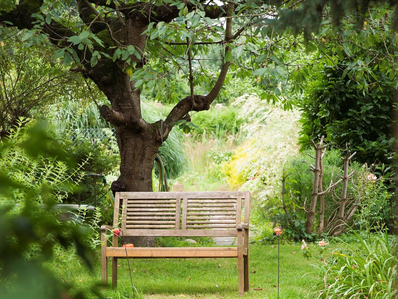 Grüne Oase - Entspannen