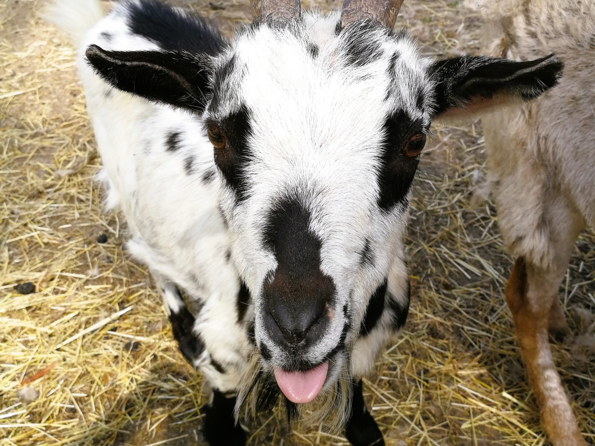 Grüne Oase - Erleben